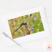 Lavenderbloemlibrie Rechthoekige Sticker (Envelop)