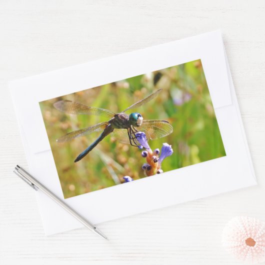 Lavenderbloemlibrie Rechthoekige Sticker (Envelop)