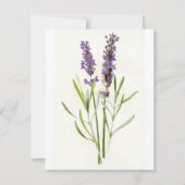  lavenders feestdagenkaart (Voorkant)