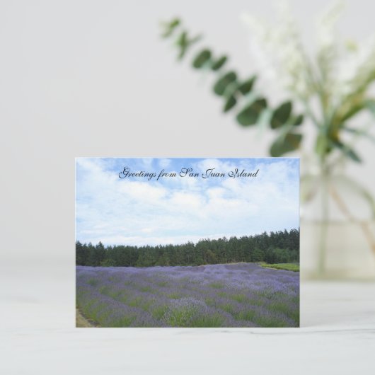 Lavendervelden Briefkaart (Staand voorkant)
