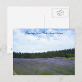 Lavendervelden Briefkaart (Voorkant / Achterkant)