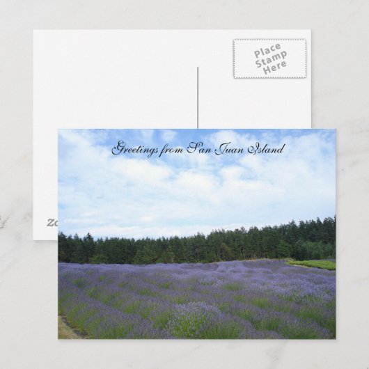 Lavendervelden Briefkaart (Voorkant / Achterkant)