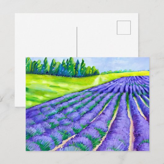 Lavendervelden schilderen briefkaart (Voorkant / Achterkant)