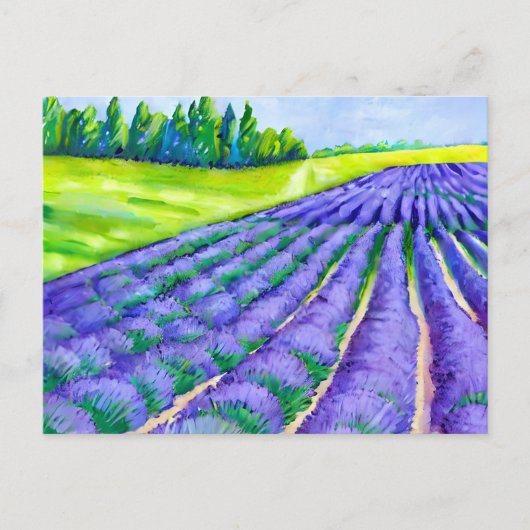 Lavendervelden schilderen briefkaart (Voorkant)