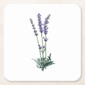  lavenderventiel kartonnen onderzetters (Voorkant)