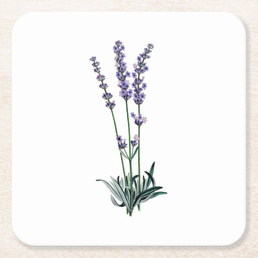  lavenderventiel kartonnen onderzetters (Voorkant)