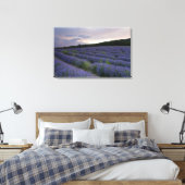Lavendeveld bij zonsondergang canvas afdruk (Insitu (Slaapkamer))
