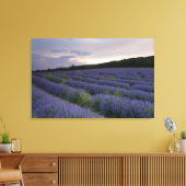 Lavendeveld bij zonsondergang canvas afdruk (Insitu (Woonkamer))