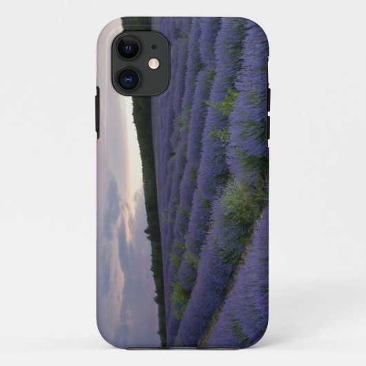 Lavendeveld bij zonsondergang Case-Mate iPhone case (Achterkant)