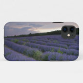 Lavendeveld bij zonsondergang Case-Mate iPhone case (Achterkant (horizontaal))