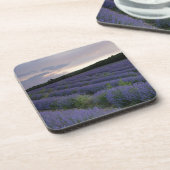 Lavendeveld bij zonsondergang drankjes onderzetter (Linkerzijde)