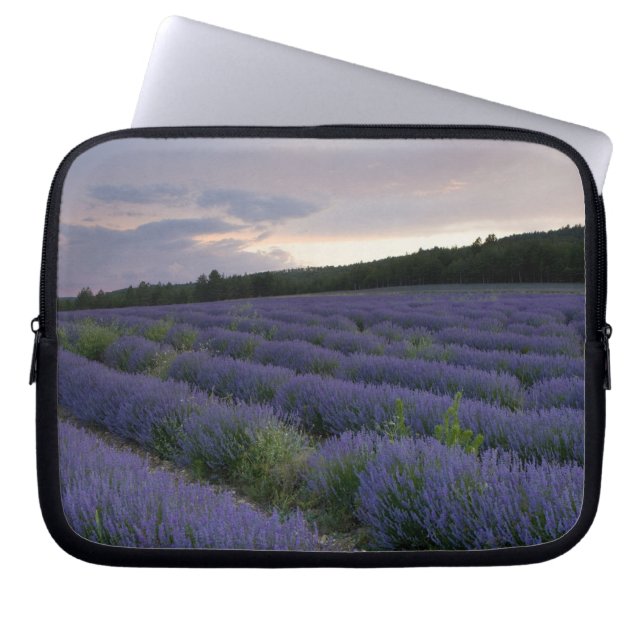 Lavendeveld bij zonsondergang laptop sleeve (Voorkant)