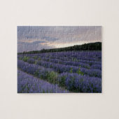 Lavendeveld bij zonsondergang legpuzzel (Horizontaal)