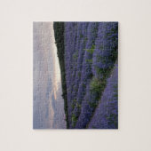 Lavendeveld bij zonsondergang legpuzzel (Verticaal)