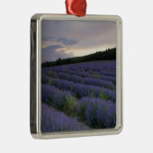 Lavendeveld bij zonsondergang metalen ornament (Rechts)