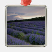 Lavendeveld bij zonsondergang metalen ornament (Voorkant)
