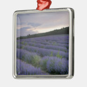 Lavendeveld bij zonsondergang metalen ornament (Links)