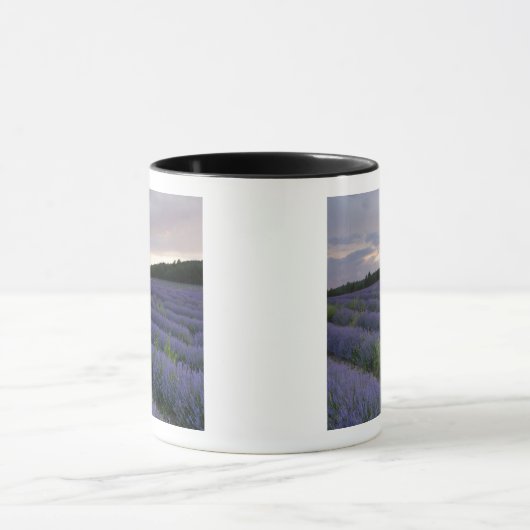 Lavendeveld bij zonsondergang mok (Midden)