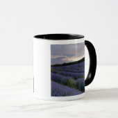 Lavendeveld bij zonsondergang mok (Voorkant rechts)