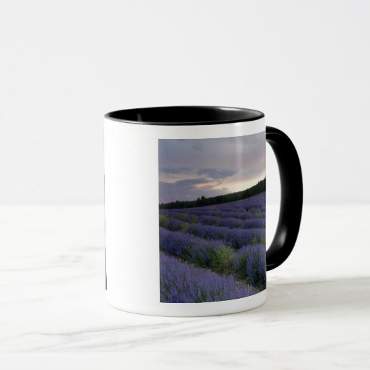 Lavendeveld bij zonsondergang mok (Voorkant rechts)