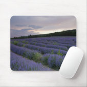 Lavendeveld bij zonsondergang muismat (Met muis)