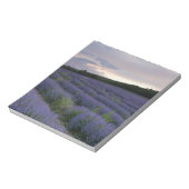 Lavendeveld bij zonsondergang notitieblok (Linkerzijde)