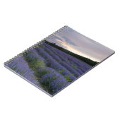 Lavendeveld bij zonsondergang notitieboek (Linkerzijde)