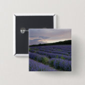 Lavendeveld bij zonsondergang vierkante button 5,1 cm (Voorkant /achterkant)
