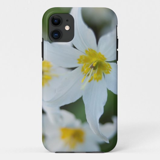 Lawinelelies bij Paradise Park Case-Mate iPhone Case (Achterkant)