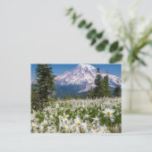 Lawinelelies en Mount Rainier 2 Briefkaart (Staand voorkant)