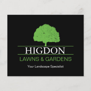 Lawn Care Flyer