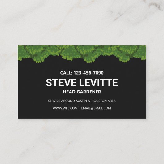 Lawn Care & Landscaping Professional Service (zwar Visitekaartje (Achterkant)