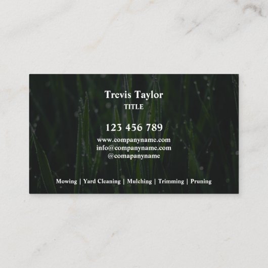 Lawn Care Landschap Elegante Professionele Yard Visitekaartje (Achterkant)