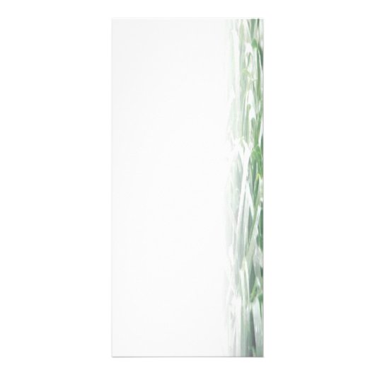 Lawn Rack Kaart (Voorkant)