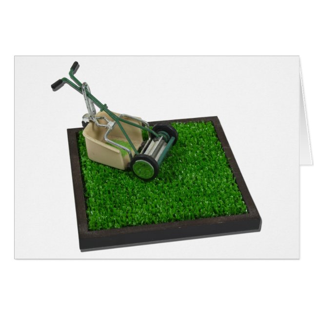 LawnmowerOnTheGrass100711 (Voorkant Horizontaal)