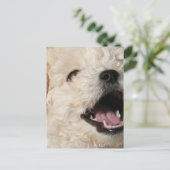 Lawrence-Briefkaart Briefkaart (Staand voorkant)