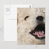 Lawrence-Briefkaart Briefkaart (Voorkant / Achterkant)