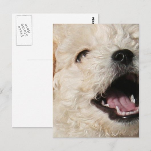 Lawrence-Briefkaart Briefkaart (Voorkant / Achterkant)