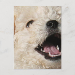 Lawrence-Briefkaart Briefkaart