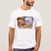 Lawrence of Arabia's house T-shirt (Voorkant)
