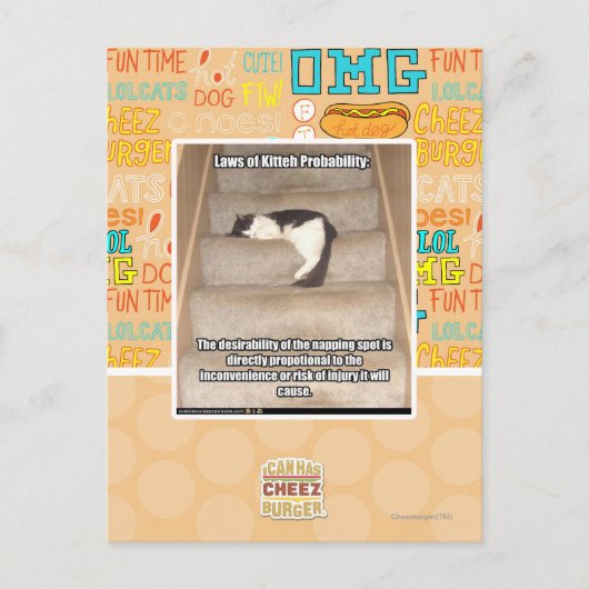 Laws of Kitteh Probability Briefkaart (Voorkant)