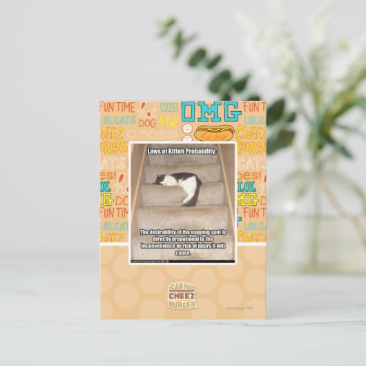 Laws of Kitteh Probability Briefkaart (Staand voorkant)