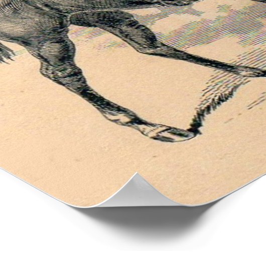 Lay Whip Company billhead van 1880 Poster (Hoek)