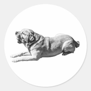 Layback Lab – Kunst in het silhouet Ronde Sticker