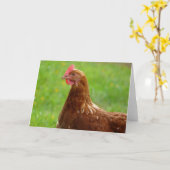 Laying Hen Rhode Island Red Chicken Kaart (Gele Bloem)