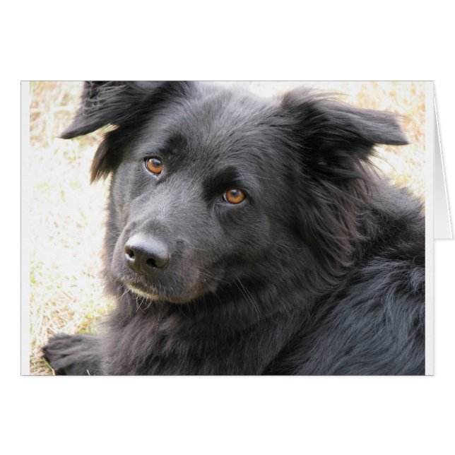 Layla (Voorkant Horizontaal)