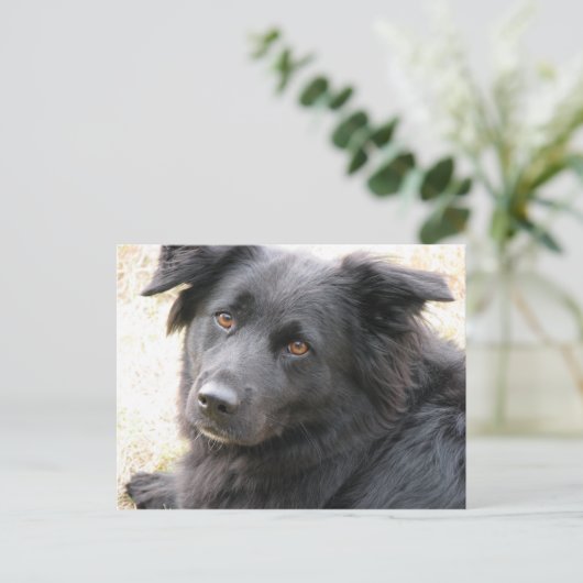 Layla Briefkaart (Staand voorkant)