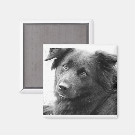 Layla Magneet (Voorkant / Achterkant)