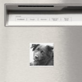 Layla Magneet (Insitu (Vaatwasser))