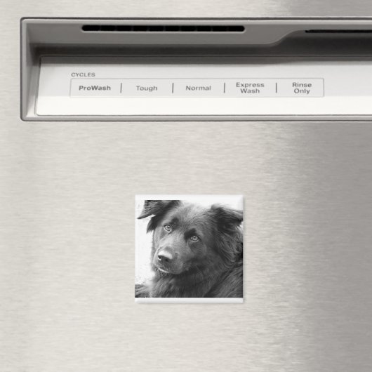 Layla Magneet (Insitu (Vaatwasser))